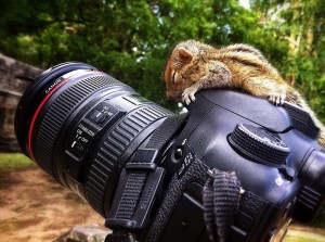 rob-shtastliveca-sri-lanka-paul-williams-12