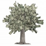 Money Tree