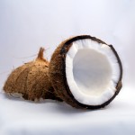 Coconut, interior view