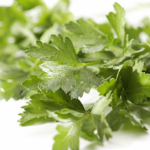 parsley