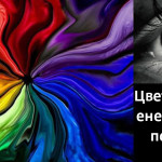 chakra181