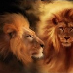lion man